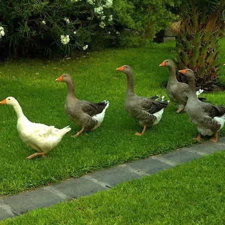 Rezort Torre Archirafi *