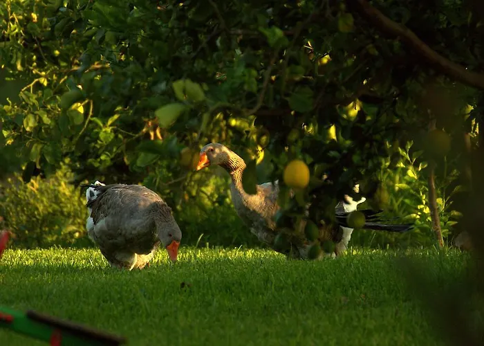 Torre Archirafi Ośrodek wypoczynkowy *