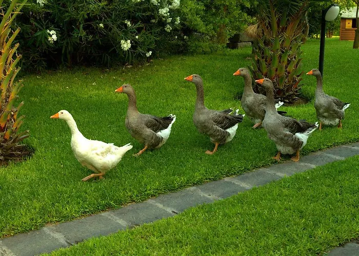 Ośrodek wypoczynkowy Torre Archirafi *